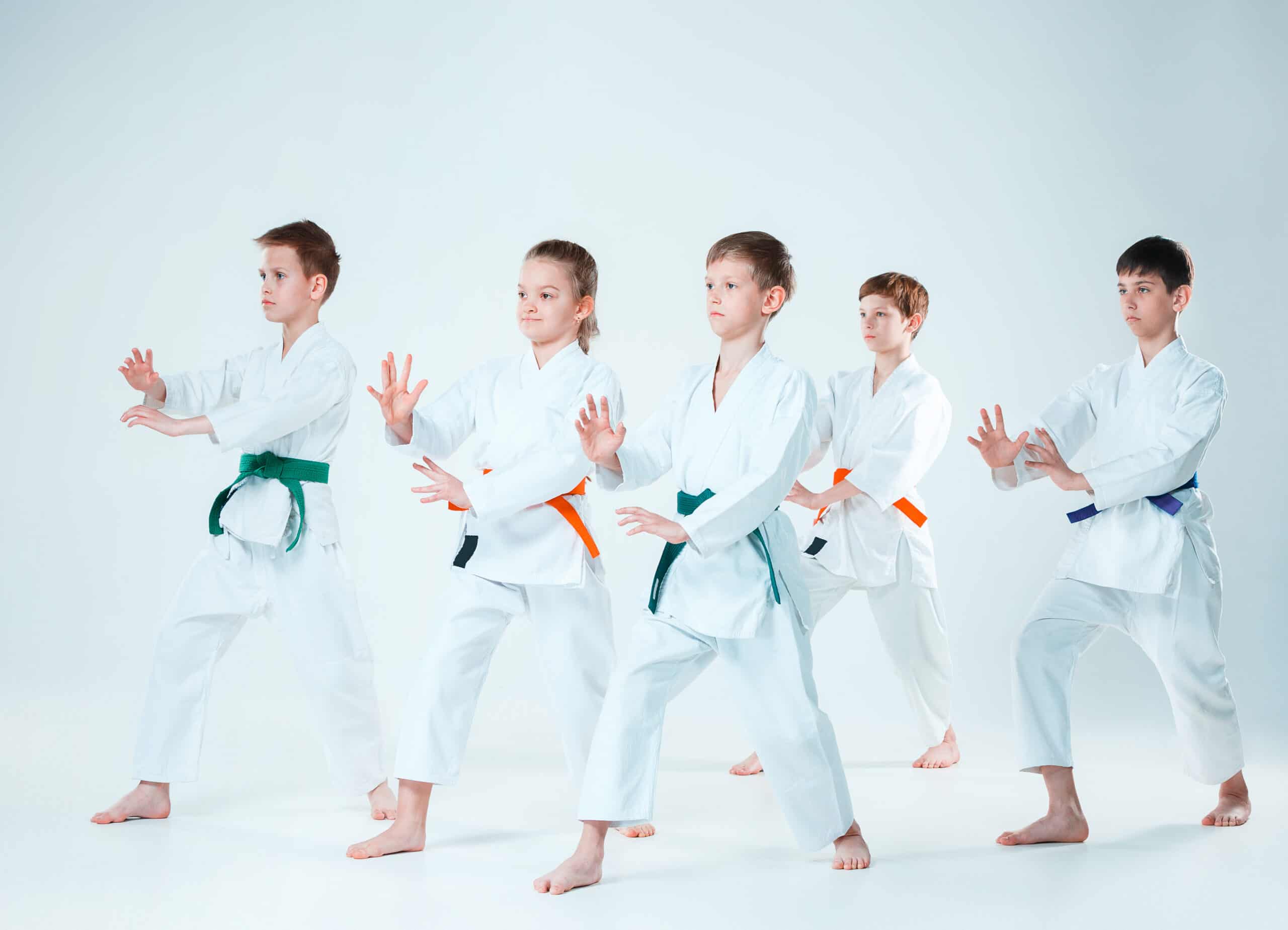 Martial arts training-feature